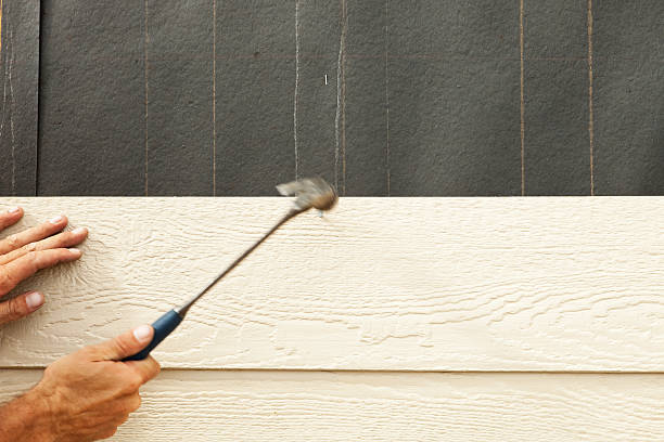 Best Siding for New Construction  in El Valle De Arroyo Seco, NM